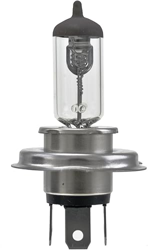 HELLA Bombilla H4 de alta resistencia HD de 24 V, 7570 W