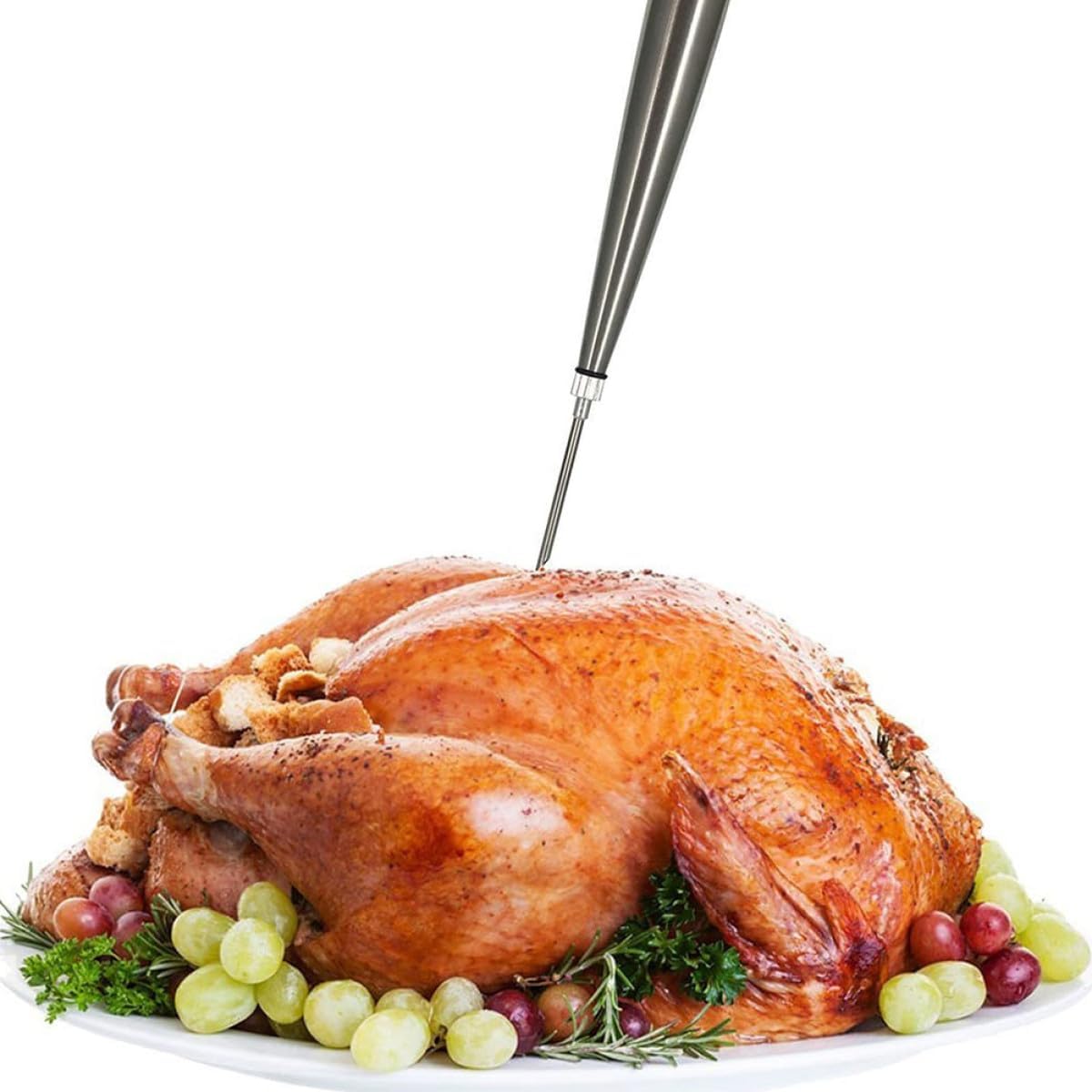 Zerodeko Turkey Seasonings Injector Pump Set with Red Single Needle Compact Kitchen Meat Injector for Marinade Injecting for Cooking and Bbq