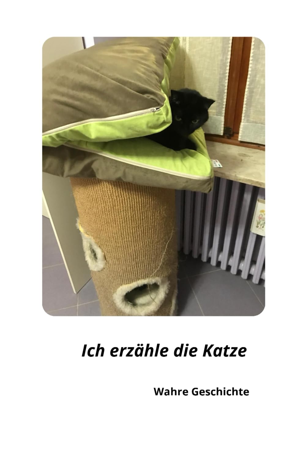 Ich erzähle die Katze