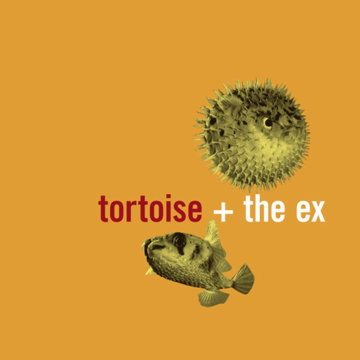 Tortoise + The Ex