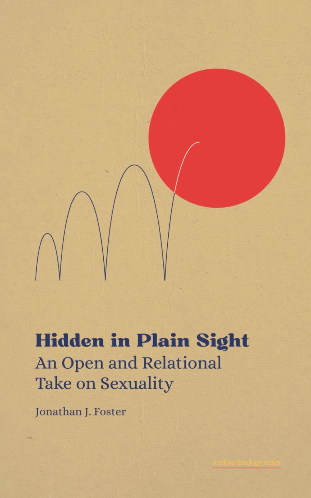 Hidden in Plain Sight: An Open and Relational Take on Sexuality (Micro Theology Series)