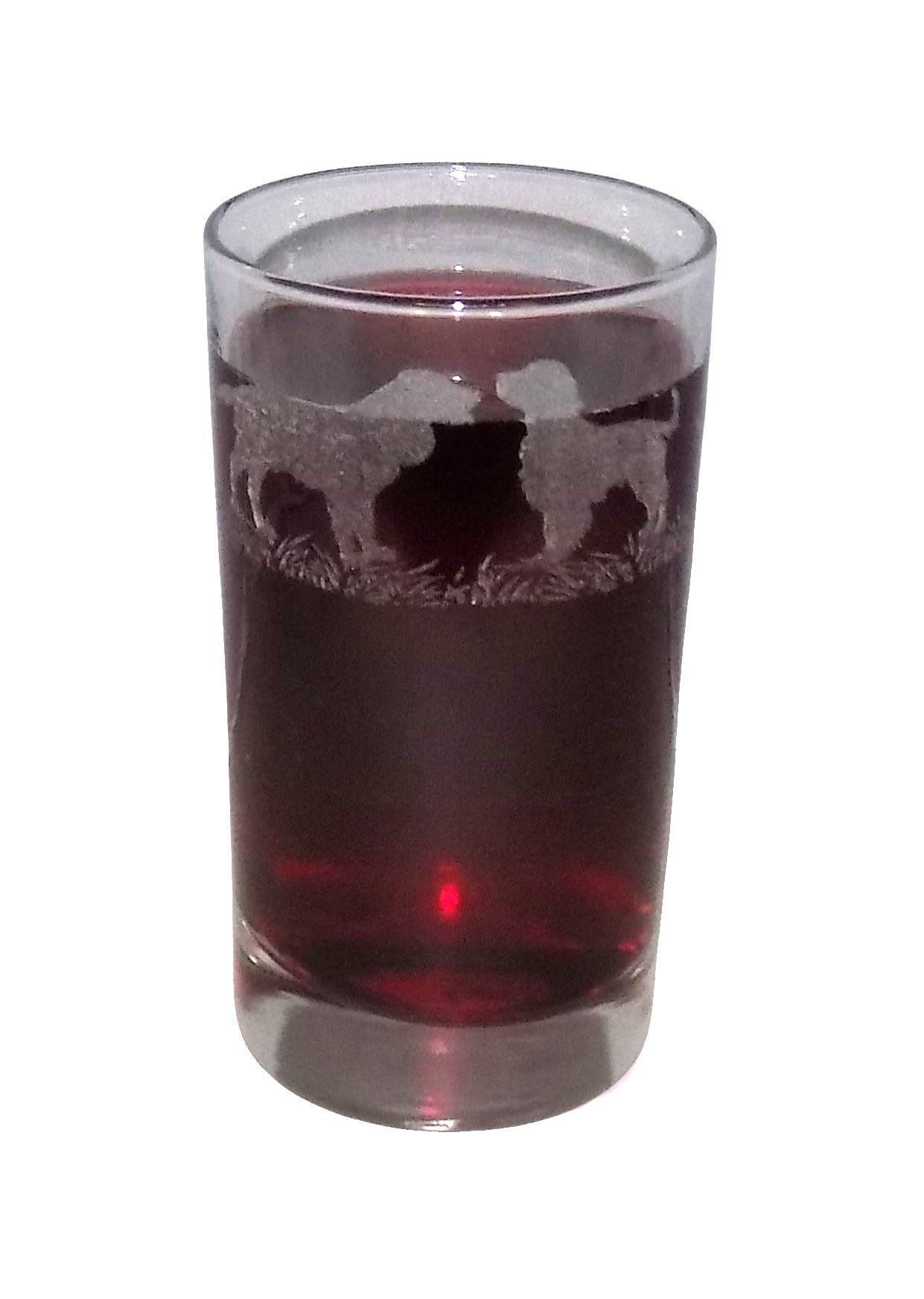 Springer Spaniel Engraved Highball Tumbler โ image 1