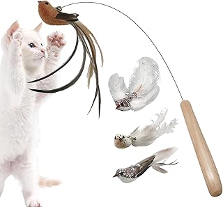 Cat Fishing Pole Toy | Cat Wand Toys for Indoor Cats - Kitten Toys Play Exercise Feather Tease Cat Pole Simulation Bird Wire Tease Cat Stick Jiyan