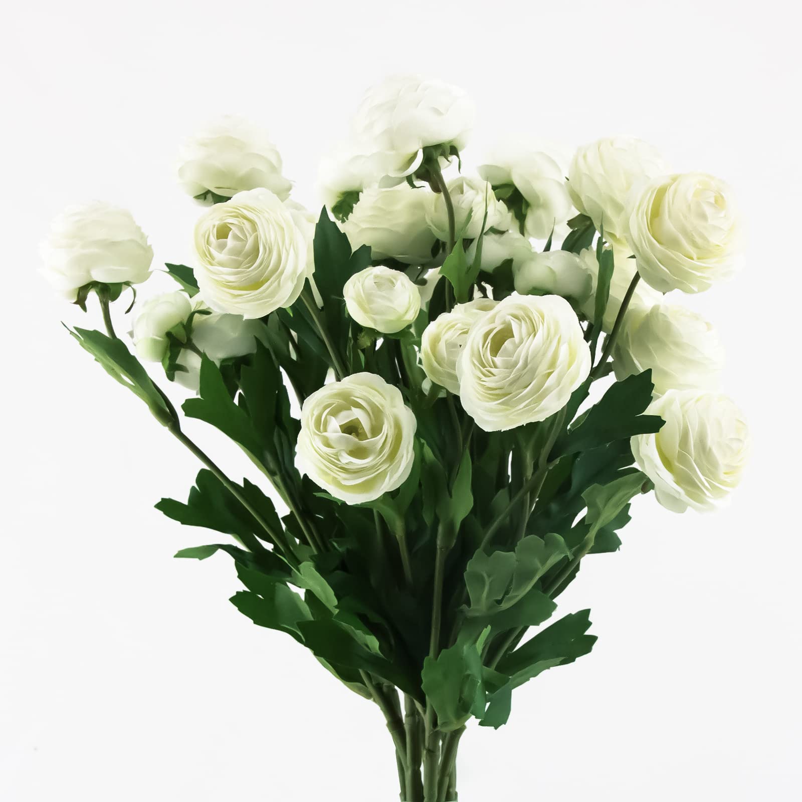 BAN MA CANG White French Peony Ranunculus