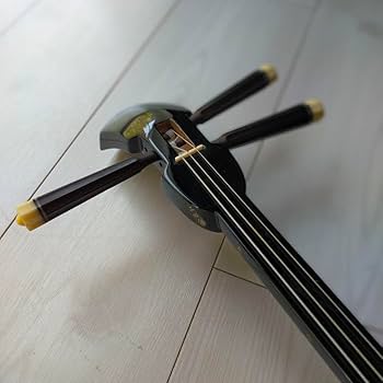 Amazon.co.jp: 沖縄三線 : 楽器・音響機器