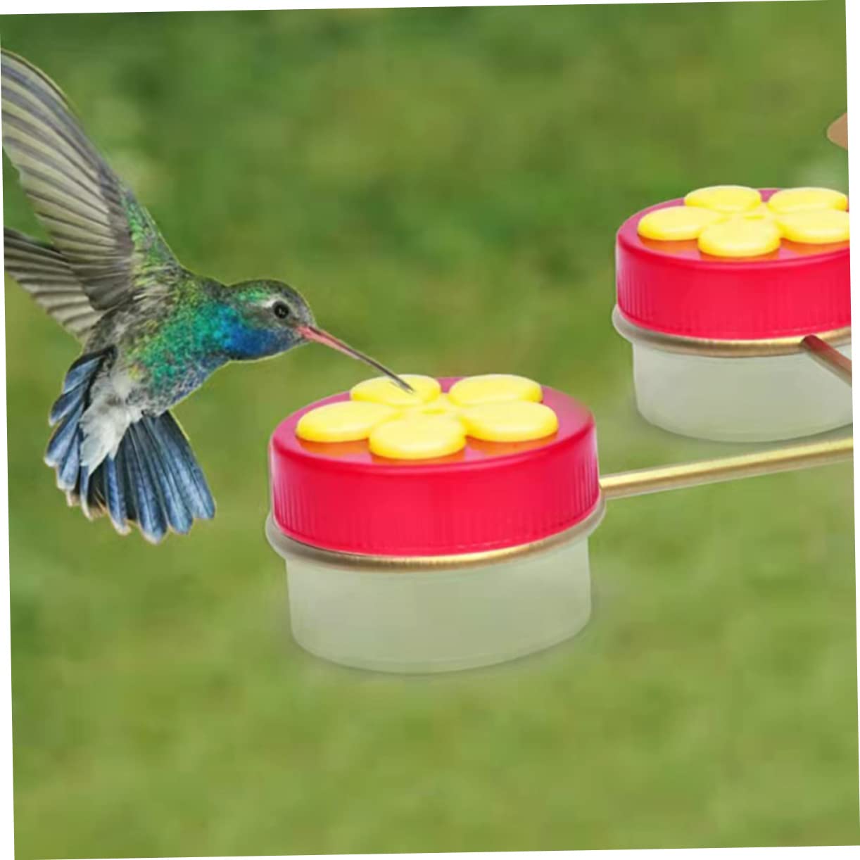 Sosoport 12pezzi Mangiatoia Per Uccelli Colibrì Con Supporto Clip Per Decorare e Balconi Facile Da Pulire e Utilizzare Per Alimentazione Acquatica