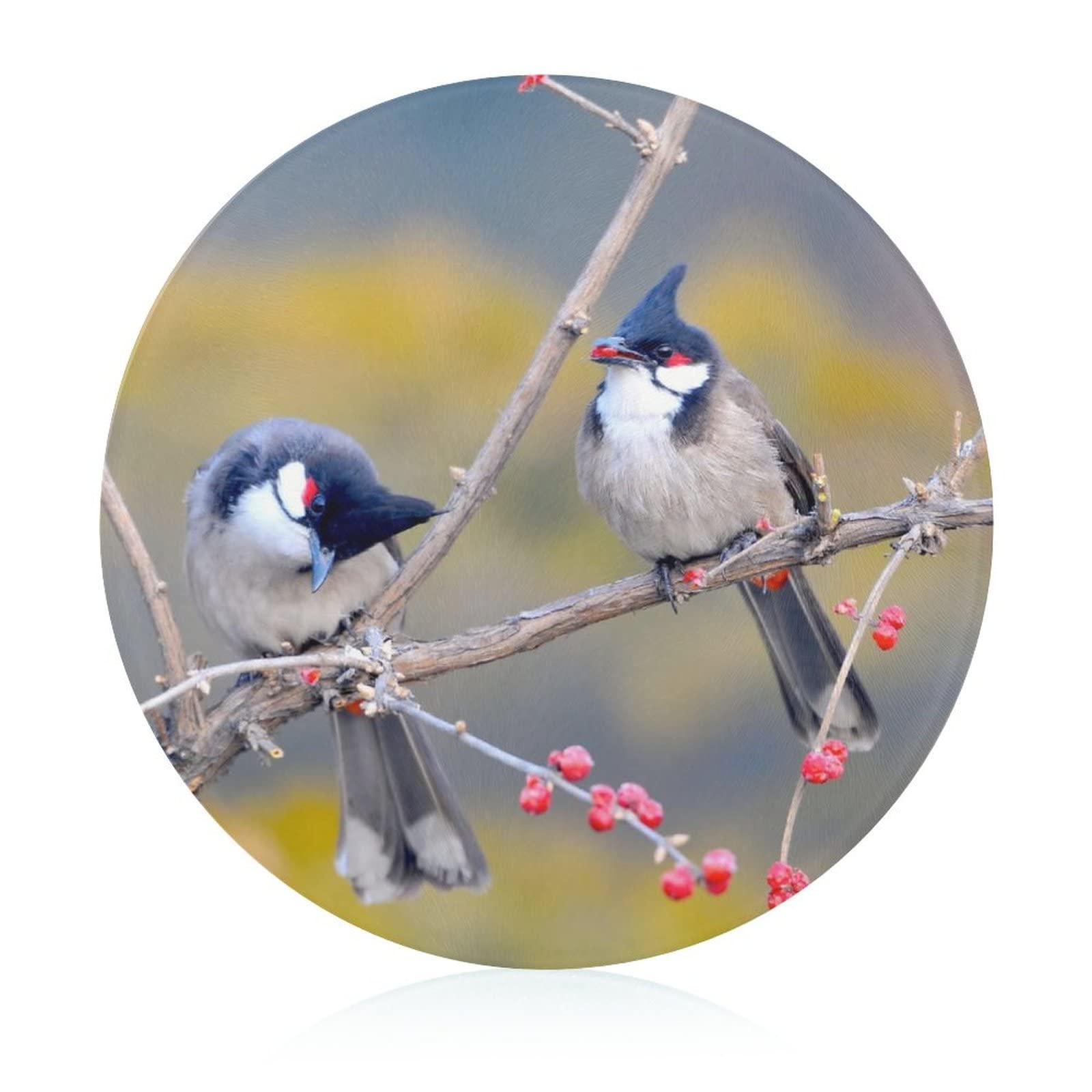 Planche à découper en verre hygiénique anti odeur motif oiseaux de cuisine 20 cm