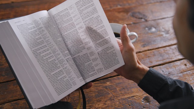 Image of KJV Holy Bible with Apocrypha and 73,000 Center-Column Cross References, Brown Leathersoft, Red Letter, Comfort Print: King James Version