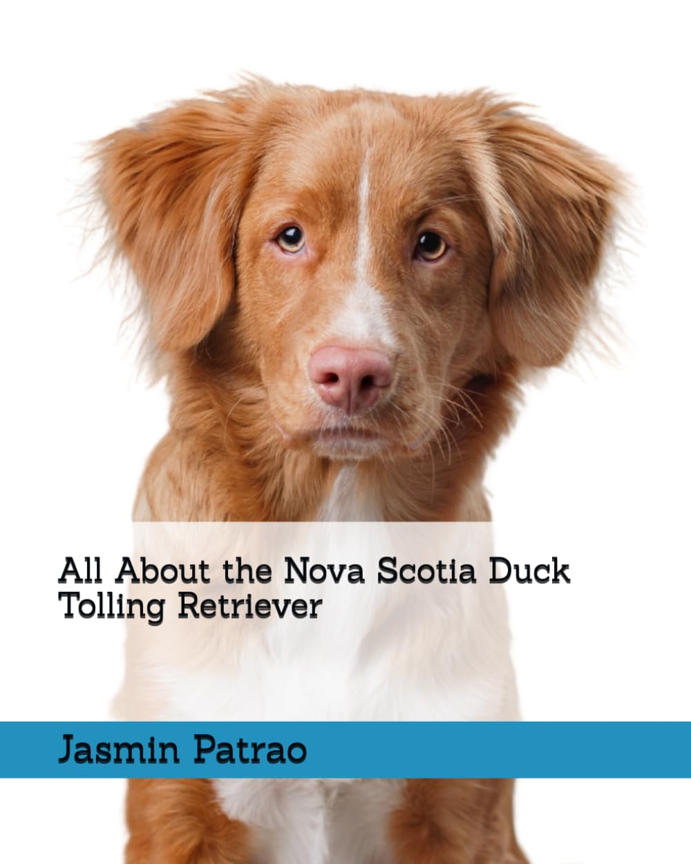 All About the Nova Scotia Duck Tolling Retriever (All About the Breed)