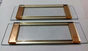 Gridded Sedgewick-Rafter Counting Cell with Case - Few GRIDS Missing