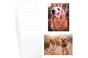 10 Pack Sublimation Photo Panels for Crafting Wall Art