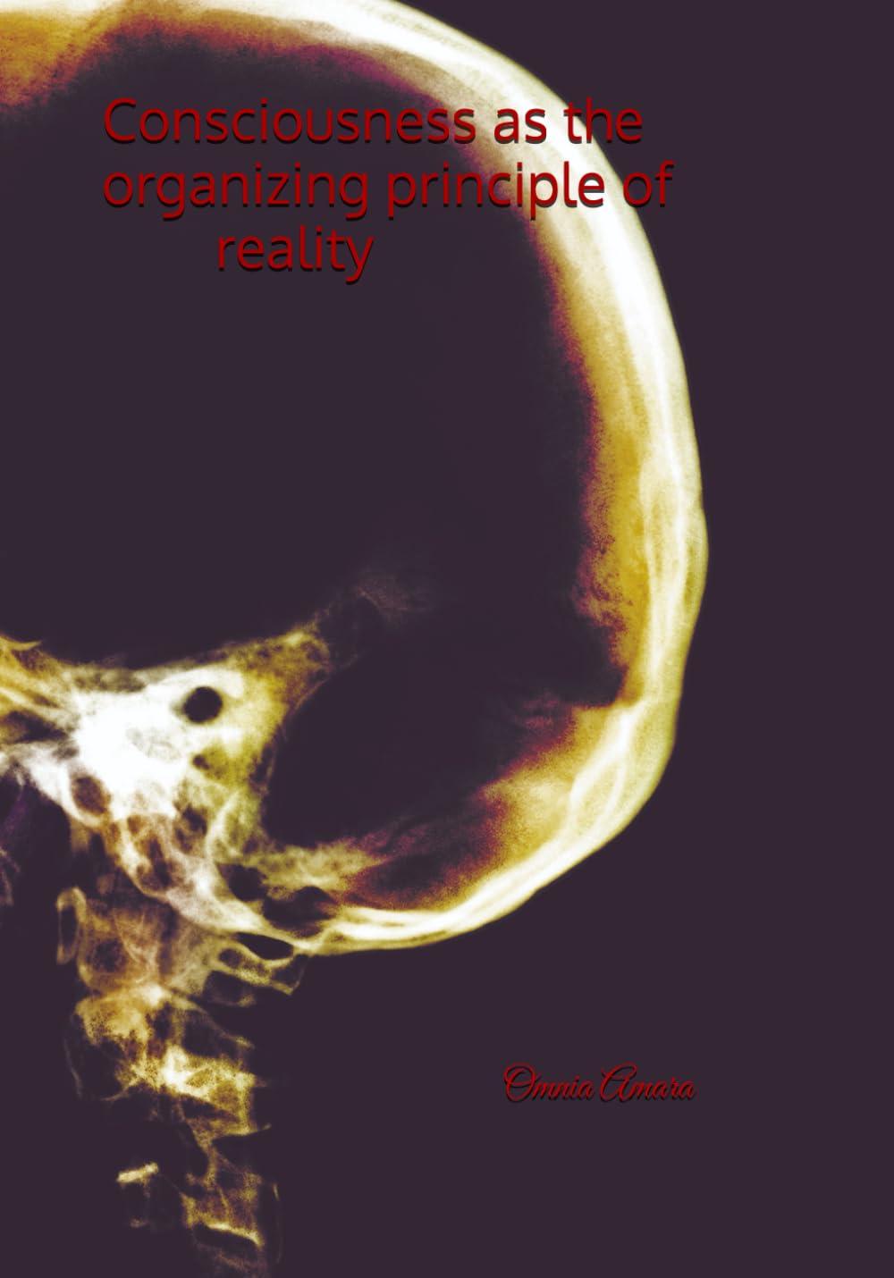 Consciousness as the organizing principle of reality (Consciousness/Spirituality)