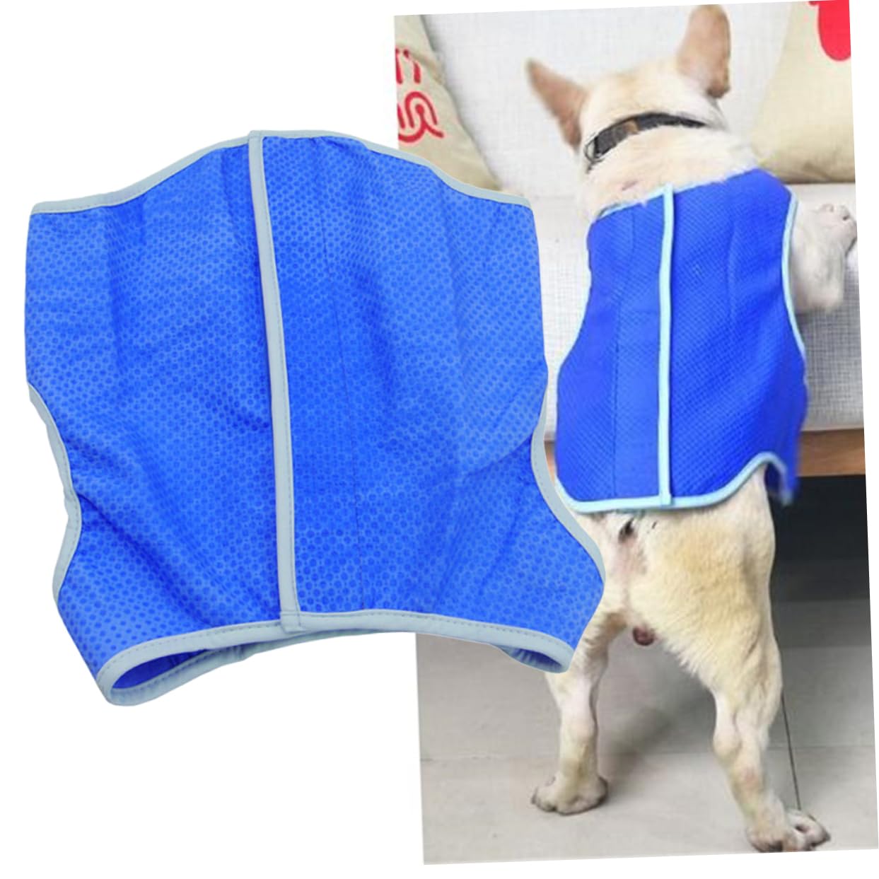 Housoutil 3pièces Gilet De Refroidissement pour Chiens Rafraîchissant Maille PVA s Bleu Confortable Et Ultra-léger