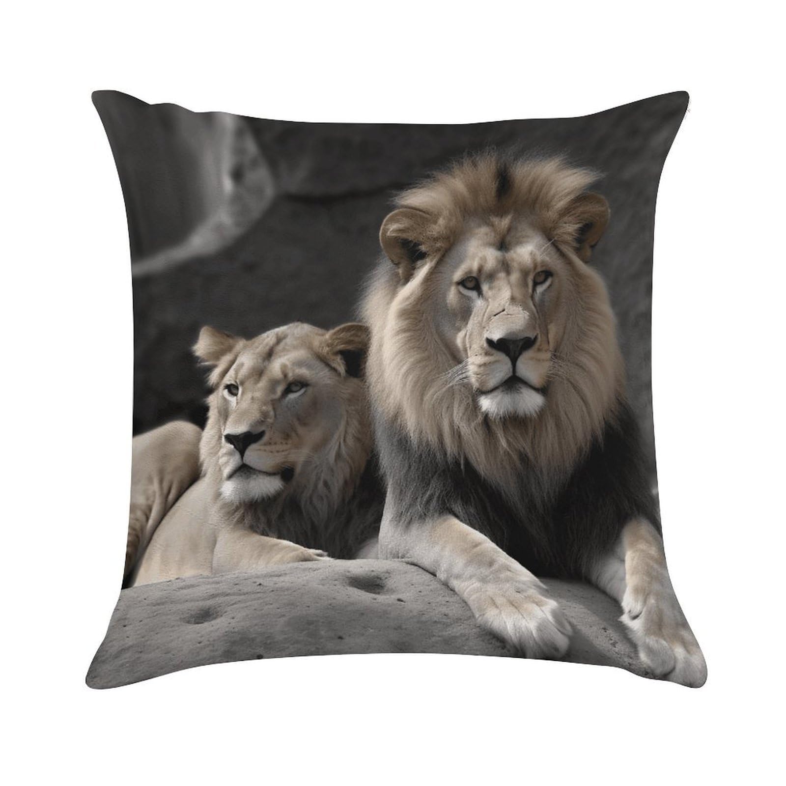 VstaDank Male and Female Lions Throw Pillow Cover Square Lumbar Throw Pillow Case Soft Decorative Cushion Cases Short Plush Pillowcase with Zipper Luxury Cozy Pillows Shams for All Seasons