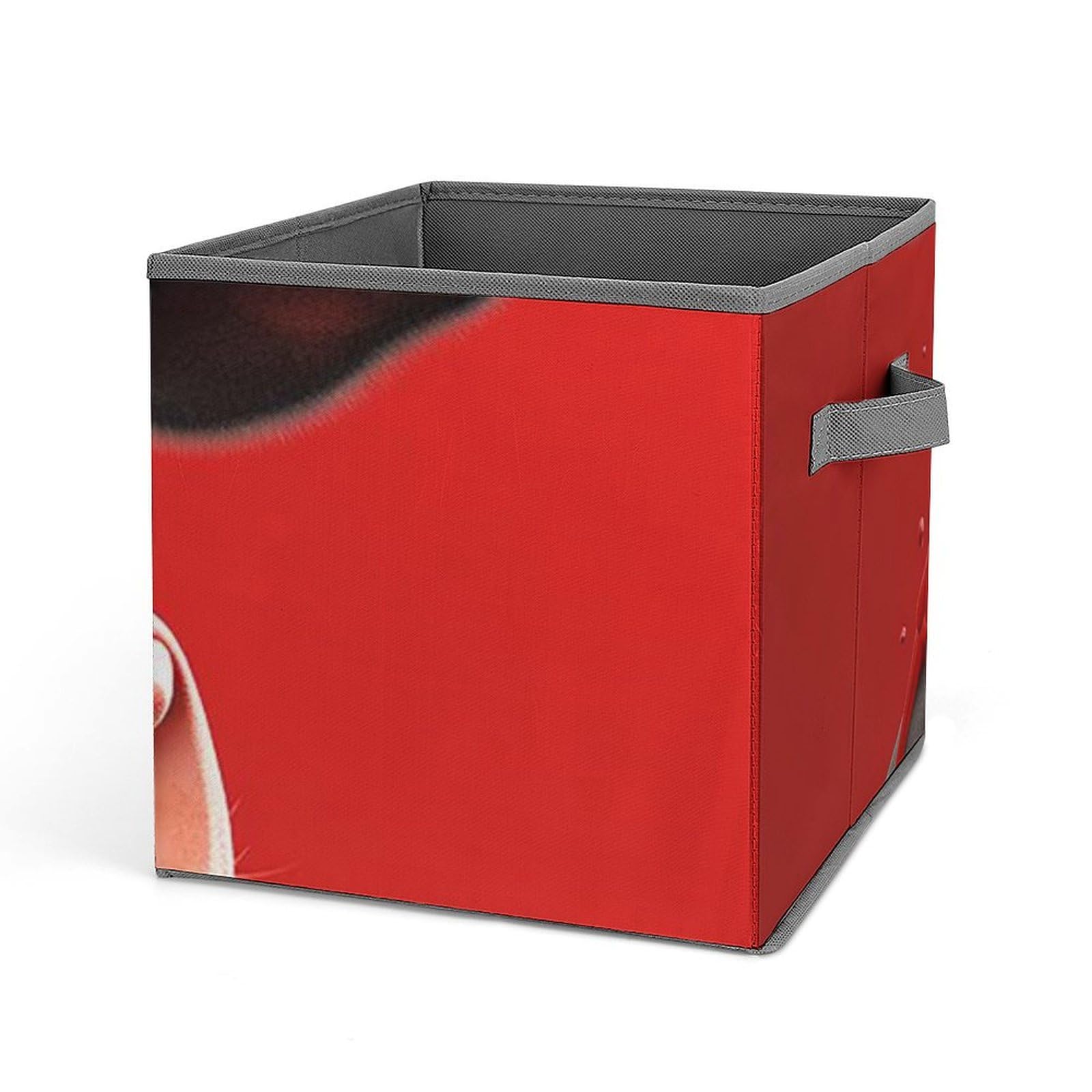 Boîte de rangement pliable pour vêtements idéale pour organiser le placard