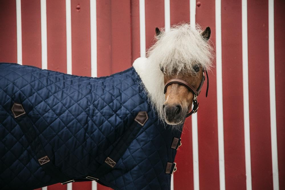 Manta de establo para Caballos Kentucky Tiny 400g