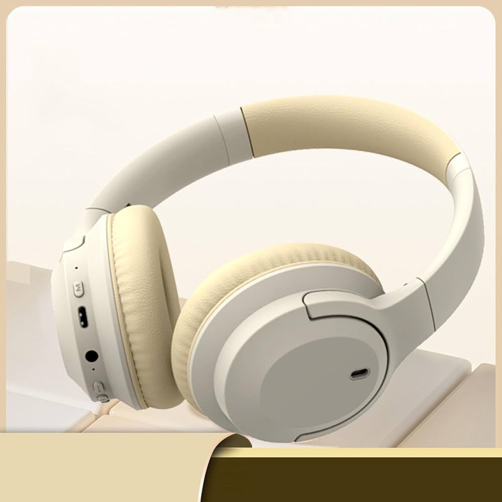 集音機 Amazon.co.jp: 骨伝導 集音器イヤホン しゅうおんき M97