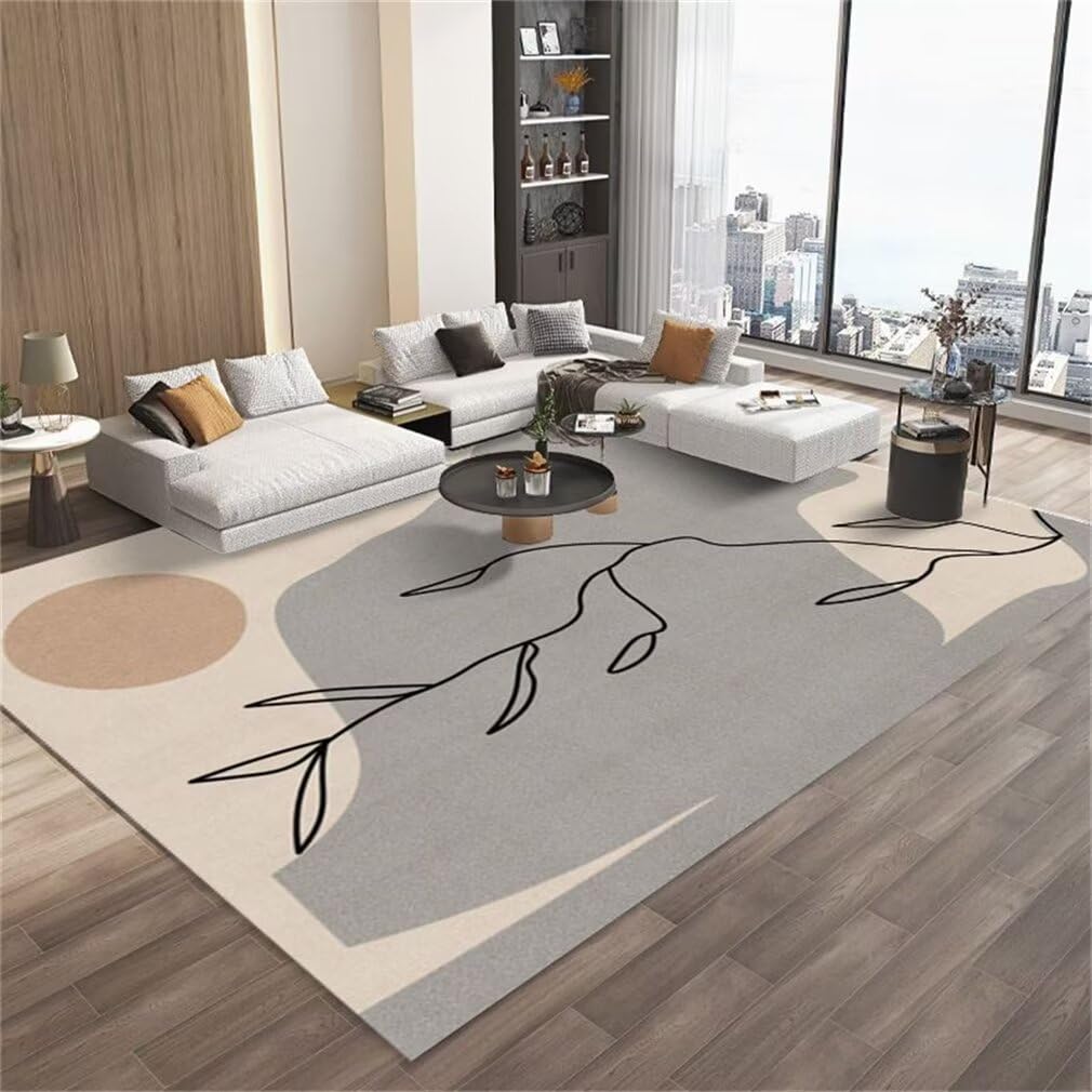 Tapis doux salon gris lavable en machine de grande taille 200x300