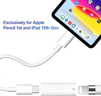Amazon.com: USB-C to Pencil Adapter for iPad 10th Gen/iPad (A16