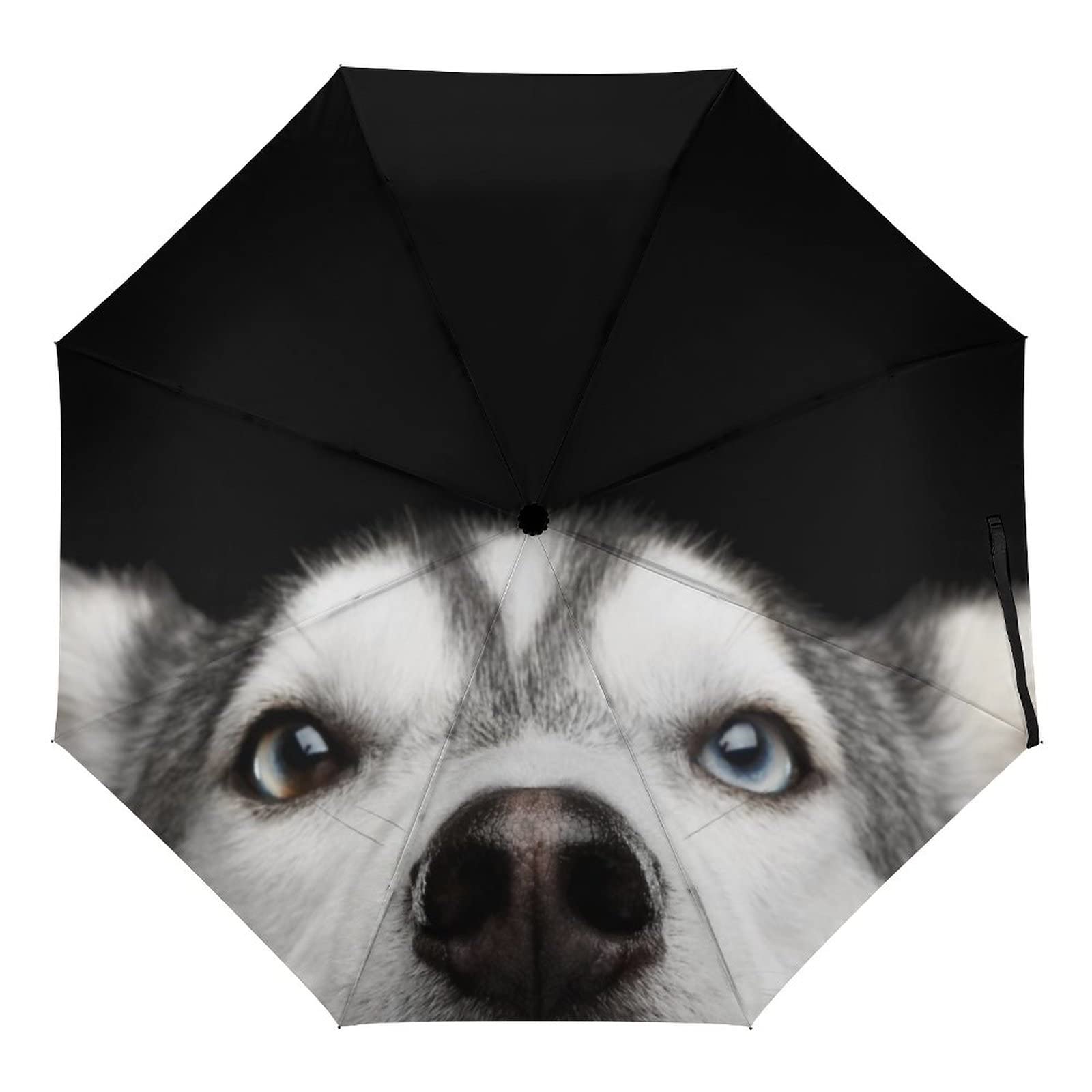 RxnivryTravel Umbrella Cute Dogs Automatic Folding Compact Umbrellas Windproof Portable Auto Open/Close Sun Rain Umbrella for Women Girls Kids