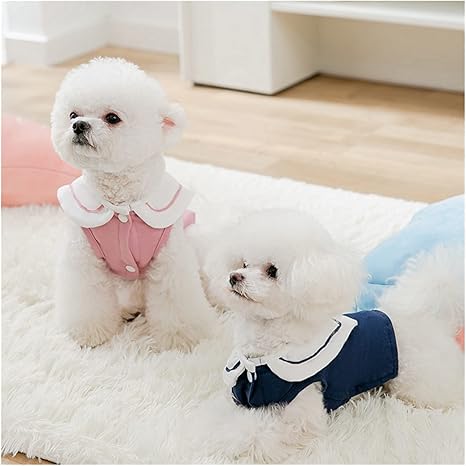 Amazon Co Jp パッチワーク シャツ ペット 犬服 甘い服 犬 コットン 極小 可愛い チワワ プリント 春 夏 ホワイト 男の子 マスコット ペット 防寒 衣類 小物 Color Sky Blue Size S ペット用品 Amazon Co Jp パッチワーク シャツ ペット 犬服 甘い服 犬 コットン 極小 可愛い チワワ プリント 春 夏 ホワイト 男の子 マスコット ペット 防寒 衣類 小物 Color Sky Blue Size S ペット用品