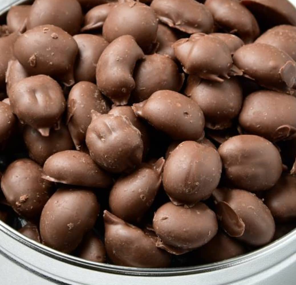 Fresh Dark Chocolate Covered Georgia Pecans Gift Basket Tin | Mascot Pecan Candy Kitchen since 1955