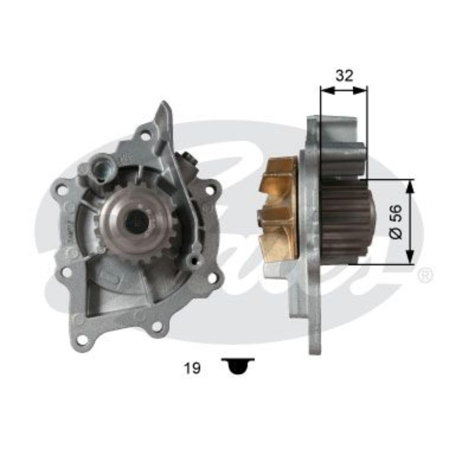 GATES KP25672XS Wasserpumpe + Zahnriemensatz Zähnezahl: 116 25,4 mm mit Wasserpumpe Kompatibel mit FORD FOCUS III Turnier Kuga Mk2 DM2 FOCUS III Mondeo V Kombi CF, CITROËN JUMPER Kasten
