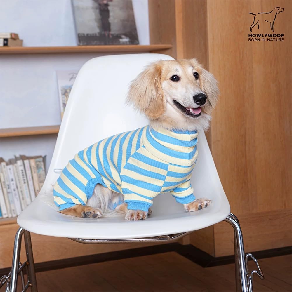 Dackel-Hunde-Shirt, dünn gestreift, Einteiler für Wiener-Hunde, leicht, für alle Jahreszeiten, weiche und bequeme Passform für Doxie- und Kurzbeinrassen, Blau und Gelb, Größe 3 (7,3–9,5 kg))