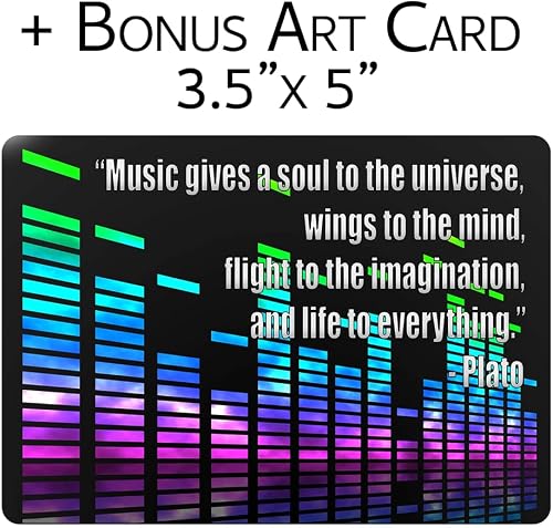 Dr.Dre "Back In The Day" Collection: The Chronic / 2001 / + Including Bonus Art Card - 2
