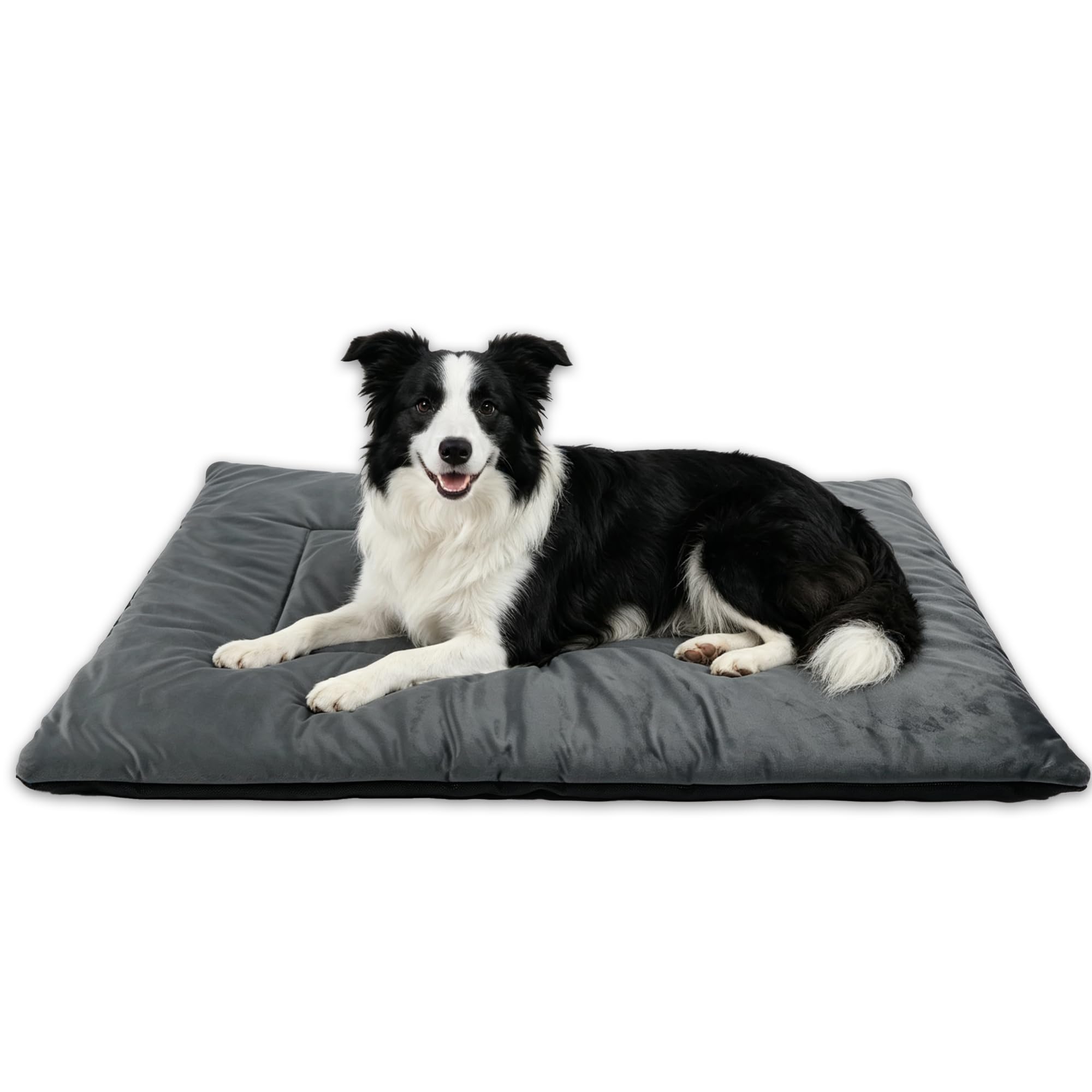 RovePad Cozy Tapis pour cage pour chien - 6 cm d'épaisseur - En velours - Dessous antidérapant en PVC - Lavable - Gris - Taille M