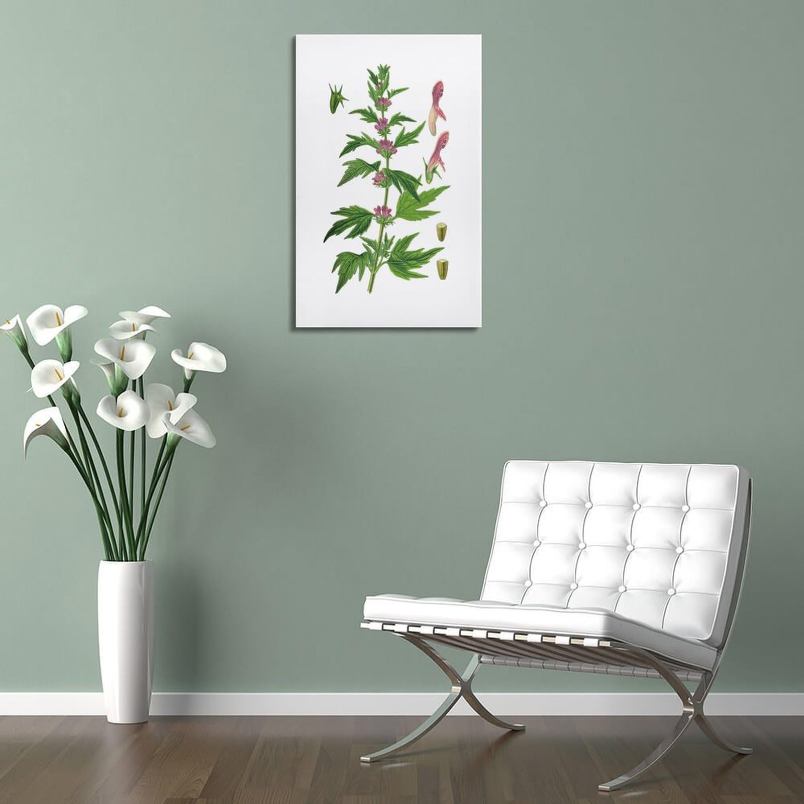 HNPBB Poster "Botanys & Plant", gemeines Mutterkraut, Illustration, Poster, dekoratives Gemälde, Leinwand, Wandposter und Kunstdruck, moderne Familienschlafzimmer-Dekoration, Poster, 30 x 45 cm