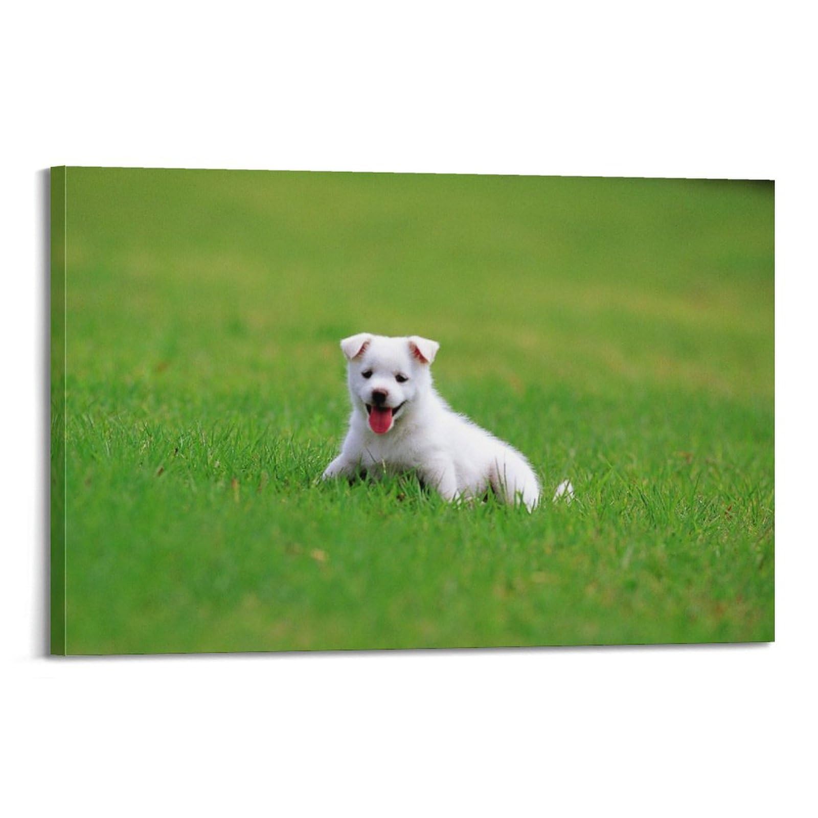 HAYZE Animal Poster Cute Little Chintamani Dog Decorative Canvas Wall & Art Poster Painting 08x12inch(20x30cm)