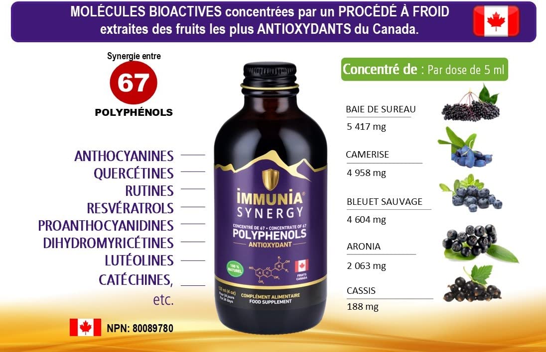 Immunia SYNERGY. Polyphénols concentrés. Puissant antioxydant naturel. Baies de Sureau, Camerise, Bleuet sauvage, Cassis, Aronia. 67 antioxydants. Fruits du Canada. Délicieux (1-Pack)