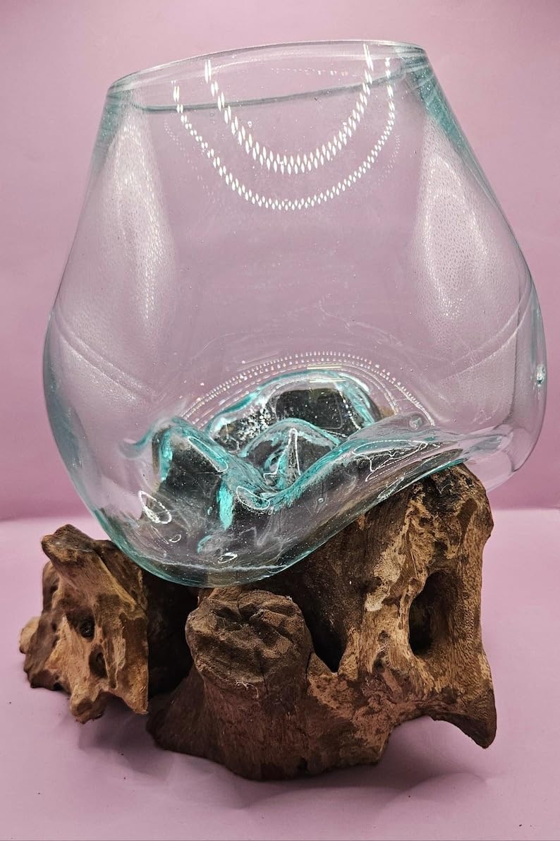 Hand-Blown Glass Terrarium with Teak Root Driftwood - A Unique Living Sculpture