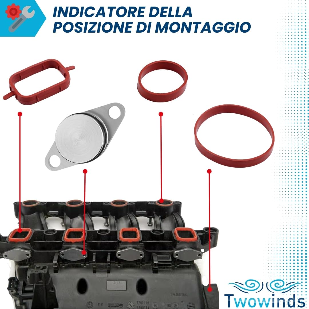 Kit Annullare Farfalle Collettore Aspirazione (22mm) Compatibile con BMW E87 E46 E90 E39 E60 E61 E65 E83 E53 - Rimozione Swirl Flap - Eliminazione Valvole Swirl (4 tappi, 9 Guarnizioni)