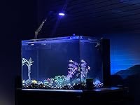 Review Image by Dr. Chetan Sawhney Reviews Dr. Chetan Sawhney Reviews