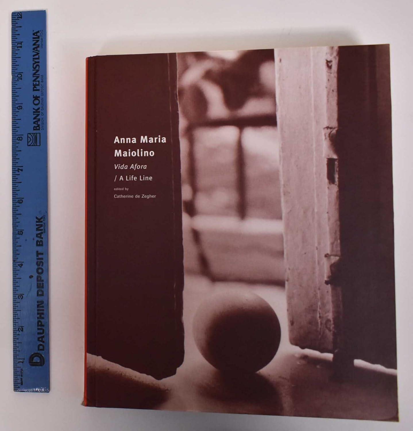 Anna Maria Maiolino Vida Afora / a Life Line De Zegher, Catherine