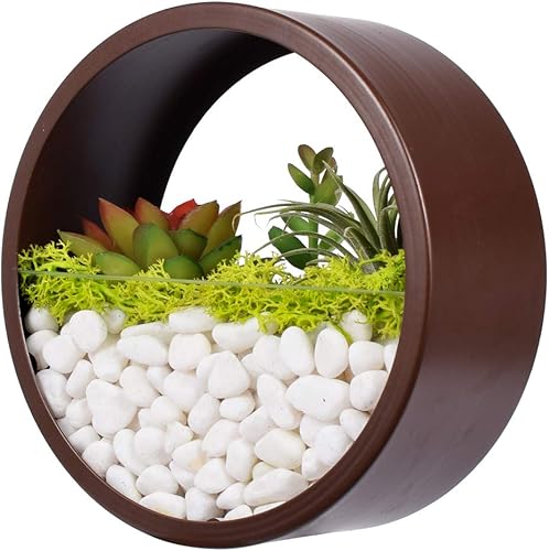 Maceteros redondos colgantes de pared, contenedores de metal contemporáneos, jarrón circular de hierro para suculentas o hierbas, decoración de