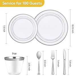 Goodluck 600 Piece Disposable Silver Plates for 100 Guests, Plastic Dinnerware Set of 100 Dinner Plates, 100 Salad Plates, 100 Spoons, 100 Forks, 100 Knives, 100 Cups, Plastic Plates for Party