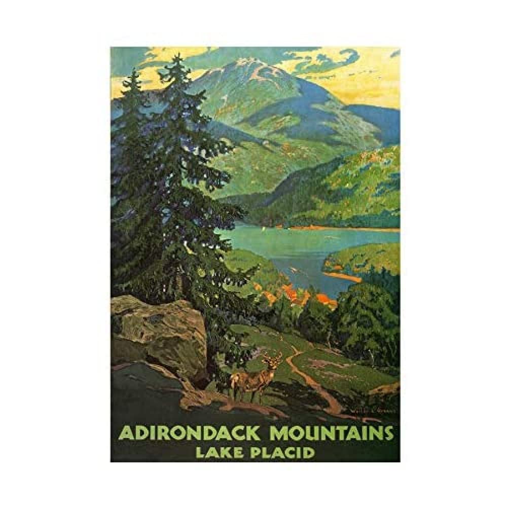 Wee Blue Coo Travel Adirondack Mountains Lake Placid USA Tree Wall Art Print