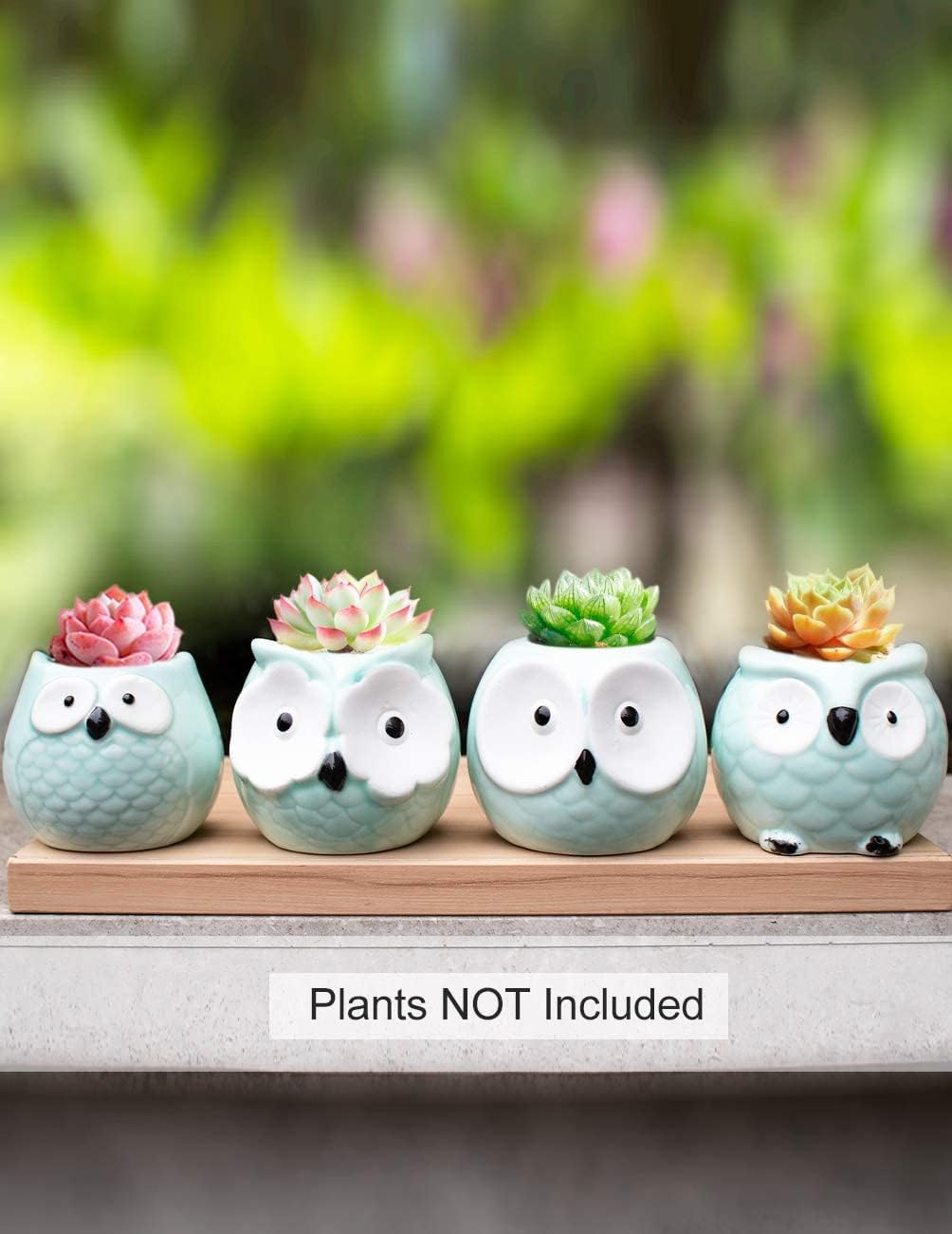 Dahlia Cute Mini Owls Ceramic Succulent Planter w Drainage Hole & Saucer, Turquoise Set of 4