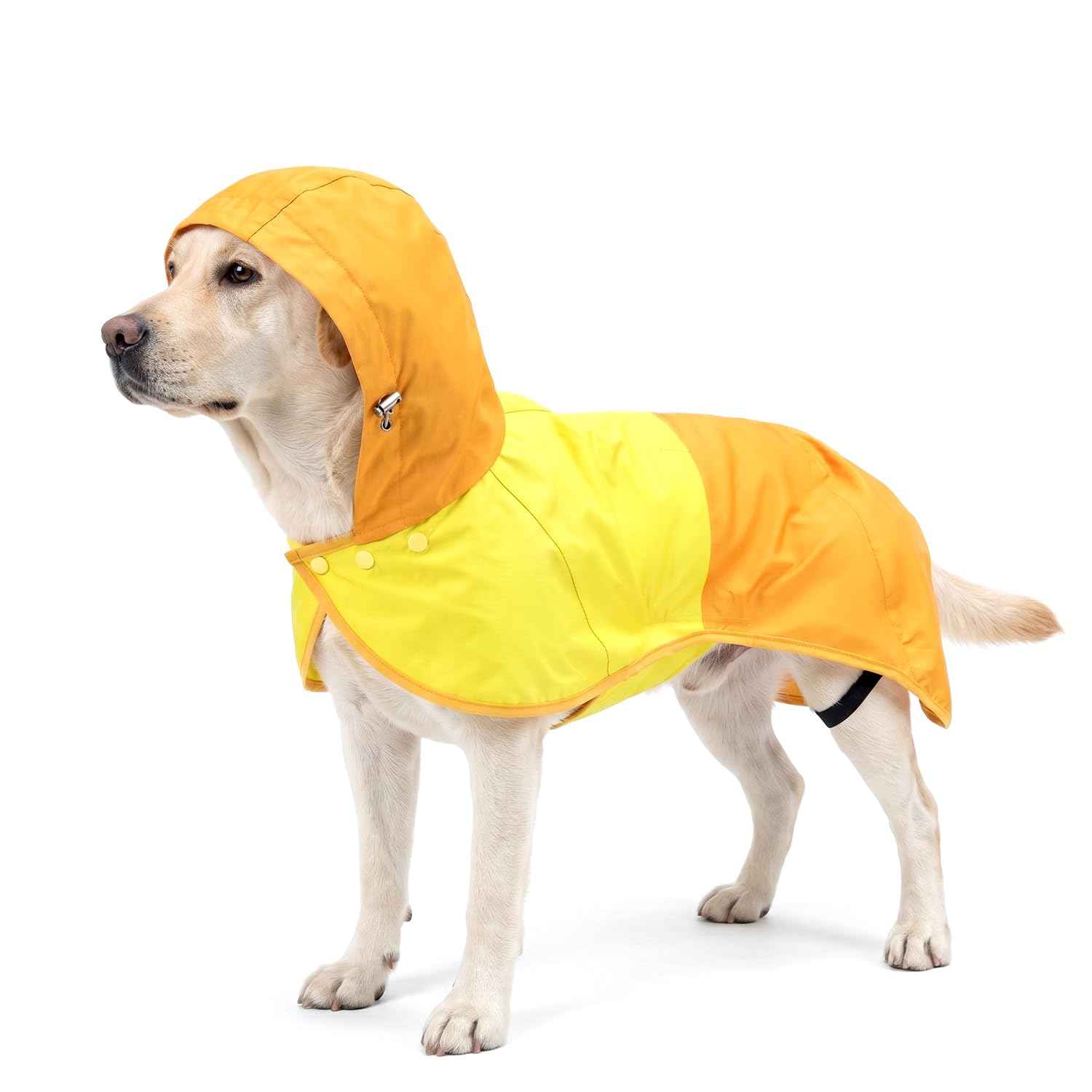 Manteau de Pluie Chien, Manteaux Imperméables pour Chiens à Capuche Réglable et Patte Élastiques - Veste Imperméable et Respirante pour Chien de Taille Petite, Moyenne ou Grande S