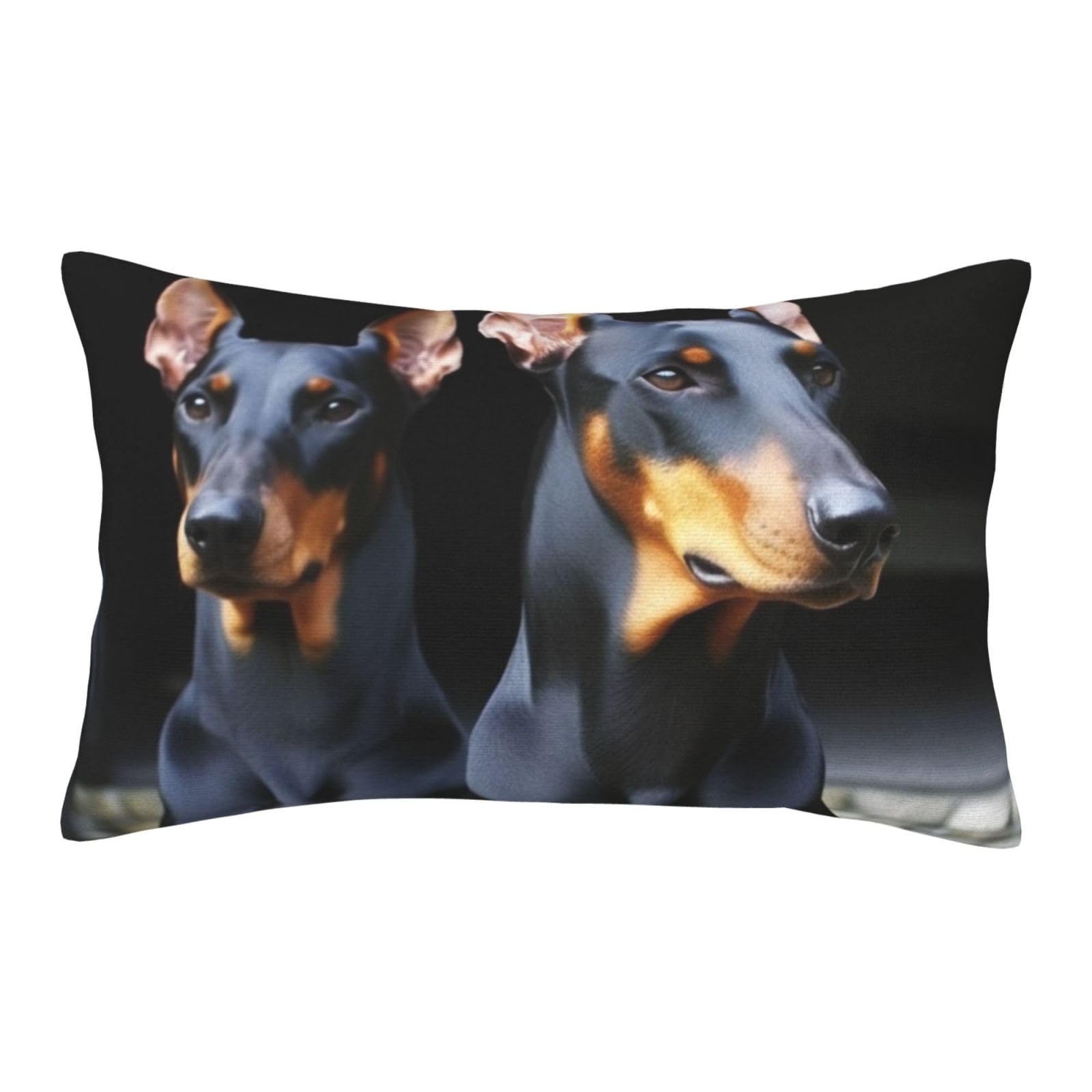 Velvet Pillowcases 14"x20" Ultra Soft Breathable Pillow Cases, Luxury Fuzzy Throw Pillow Covers with Zipper, Doberman Pillow Shams All Seasons Decorative Cushion Cases for Couch