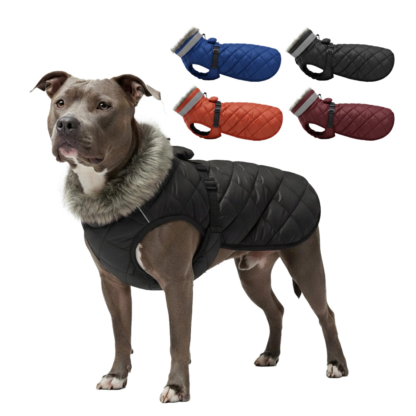 LUVMOJO Dog Winter Coat