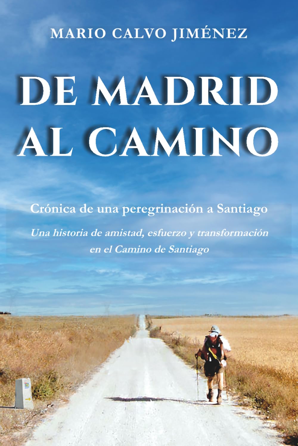 DE MADRID AL CAMINO: Crónica de una peregrinación a Santiago