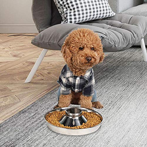YUIP Ciotola per Cani in Acciaio, Ciotola per Cani...