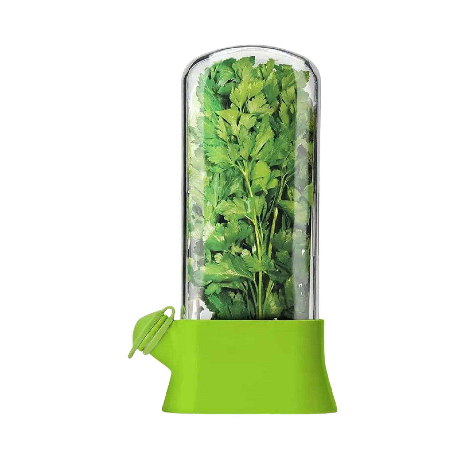 carotoe Fresh-keeping Cup Ventilated Plant Preserver with Visible Lid for Cilantro Parsley Refrigerator Storage Container Plant Storage Container