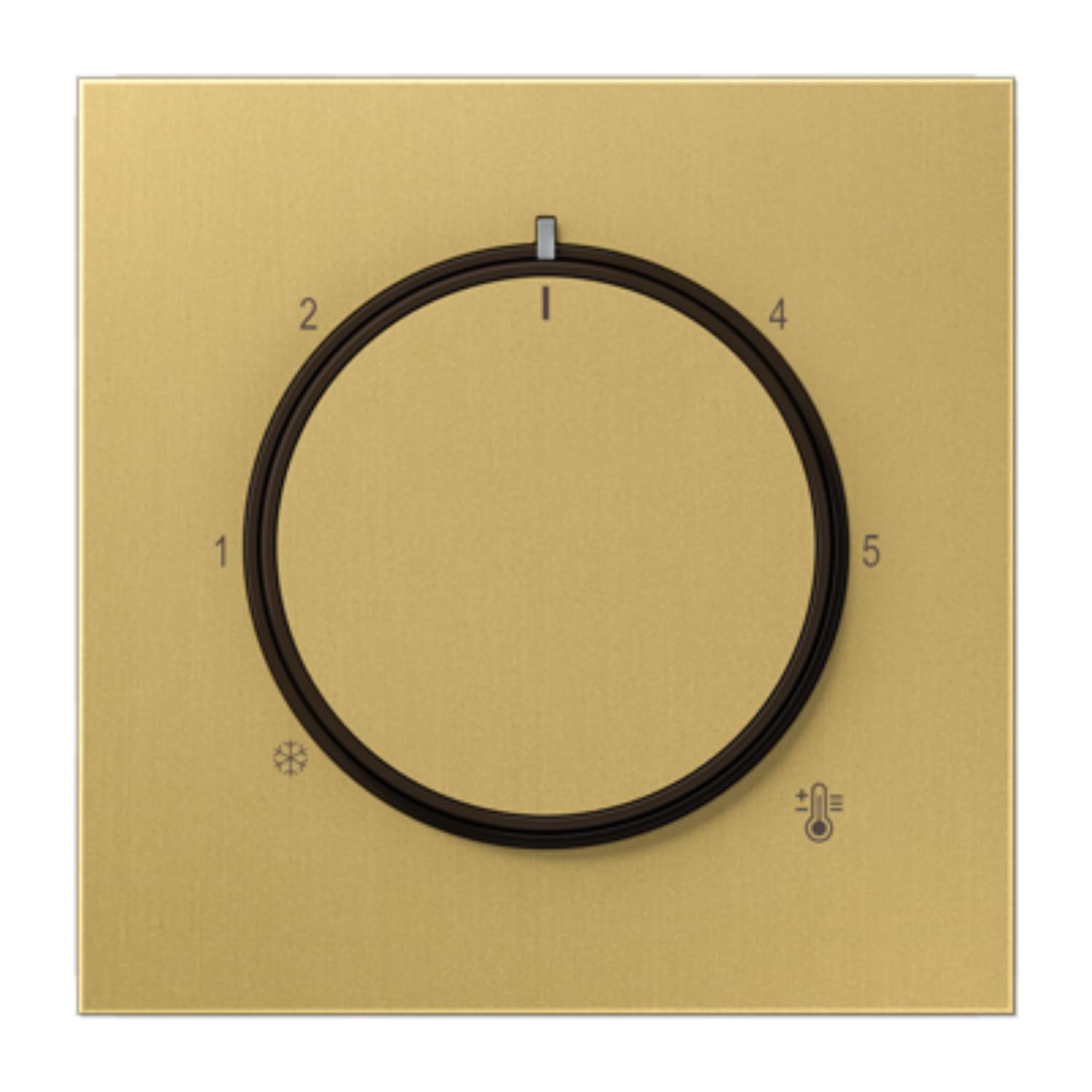 Thermostat JUNG ME1749C laiton pour remplacer un boîtier plastique jauni