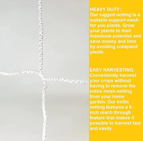 Miniatura 9 de Red de enrejado de jardín - Cordón de nailon elástico resistente con malla de alcance de 5 pies x 350 pies (6 pulgadas)