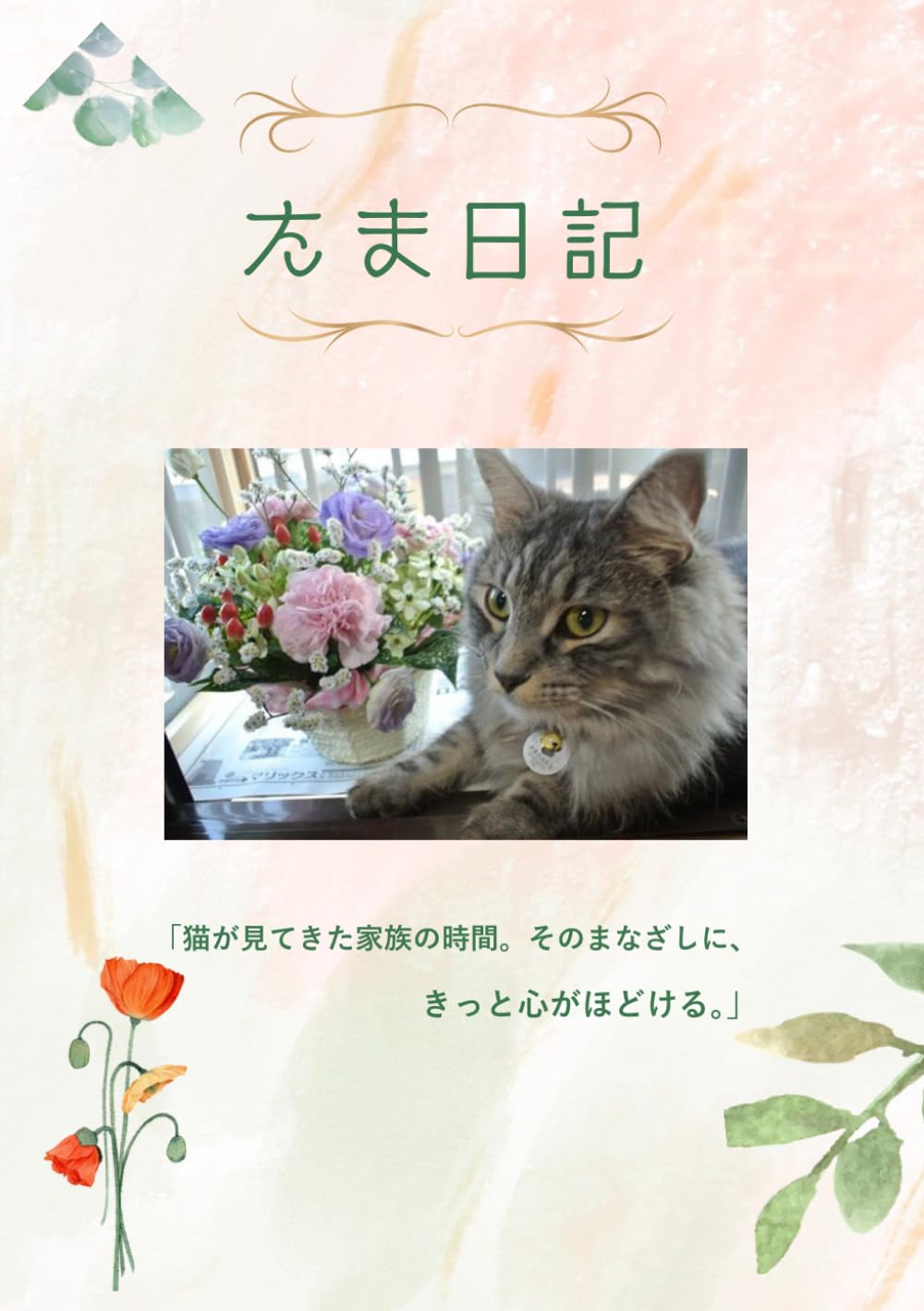 たま日記: 家族の時間を綴った猫のフォトエッセイ